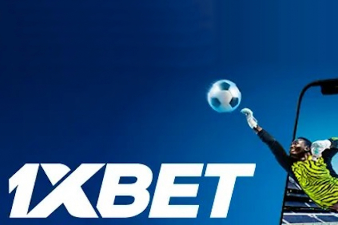 CasinoAccess Your Ultimate Guide to Online Gambling