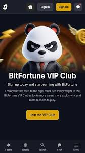 Highest RTP Slots at Bitfortune -1273767465